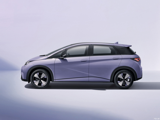 BYD Dolphin EV Car Hatchback 4125*1770-1570 L*W*H mm Μπροϊνό δίσκο