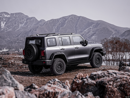 Μπροστά πίσω δίσκο φρένα Euro VI Great Wall TANK300 καυσίμου SUV για μεγάλη αξία SUV